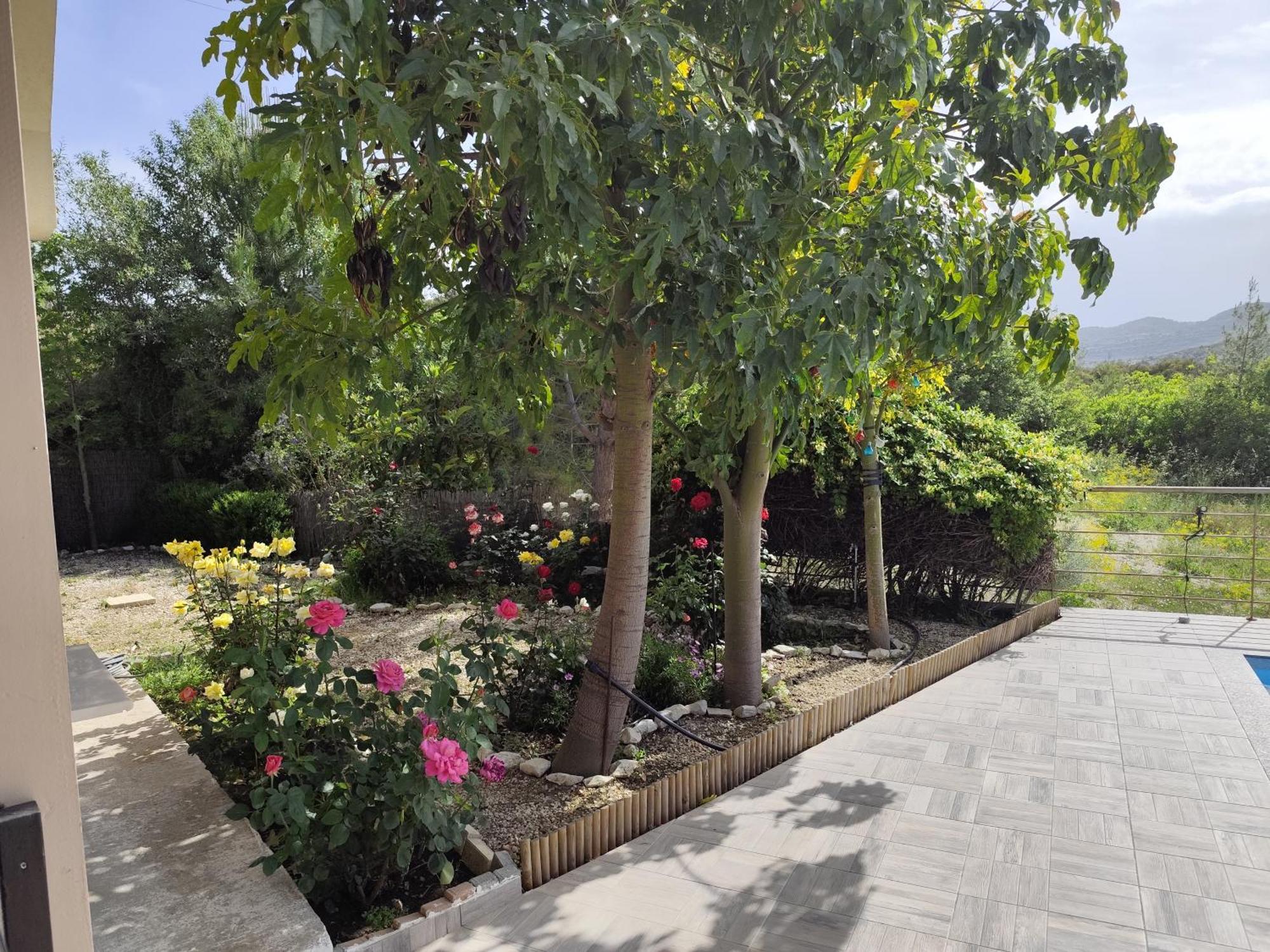 Roses Villa Trimiklini Екстериор снимка