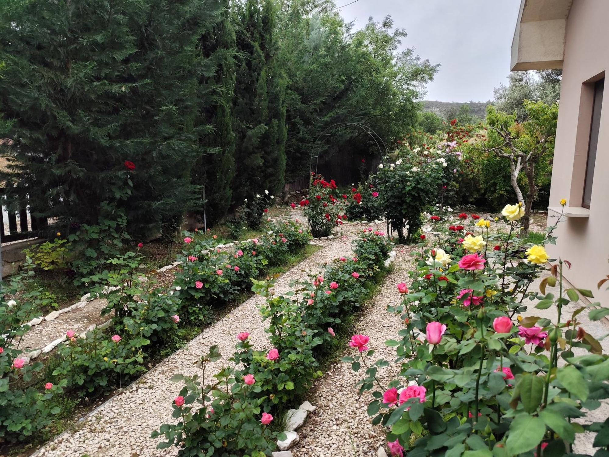 Roses Villa Trimiklini Екстериор снимка