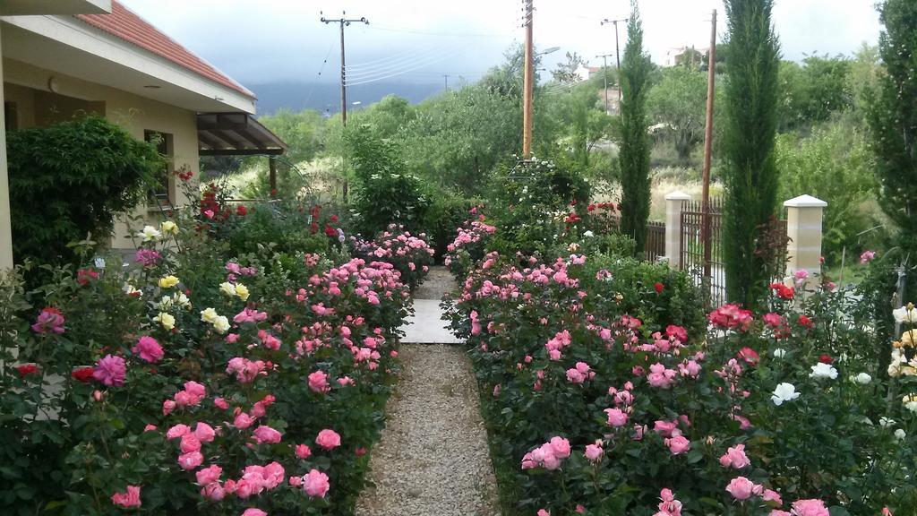 Roses Villa Trimiklini Екстериор снимка